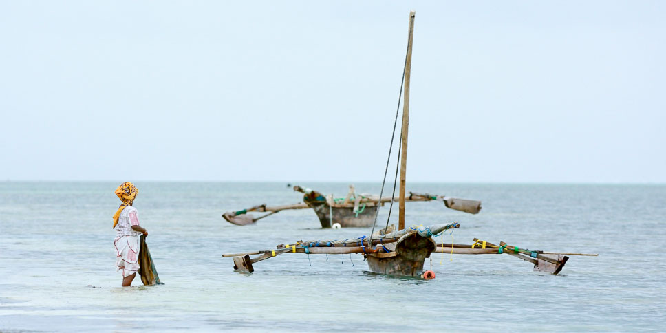 https://www.zanzibarretreat.com/wp-content/uploads/2015/05/Slideshow_ZR-6.jpg