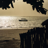 Zanzibarretreat_Beach_Pool-15