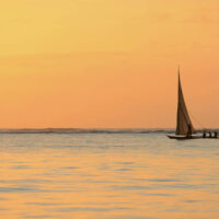 Zanzibarretreat_Beach_Pool-16