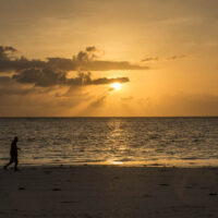 Zanzibarretreat_Beach_Pool-3